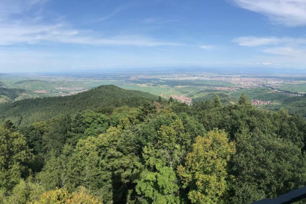 Le Galtz - Gites Marck Ammerschwihr Exterior foto