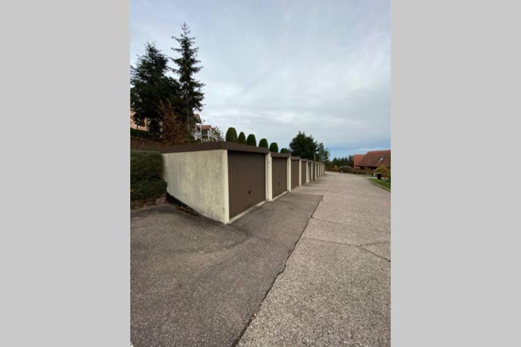 Le Galtz - Gites Marck Ammerschwihr Exterior foto